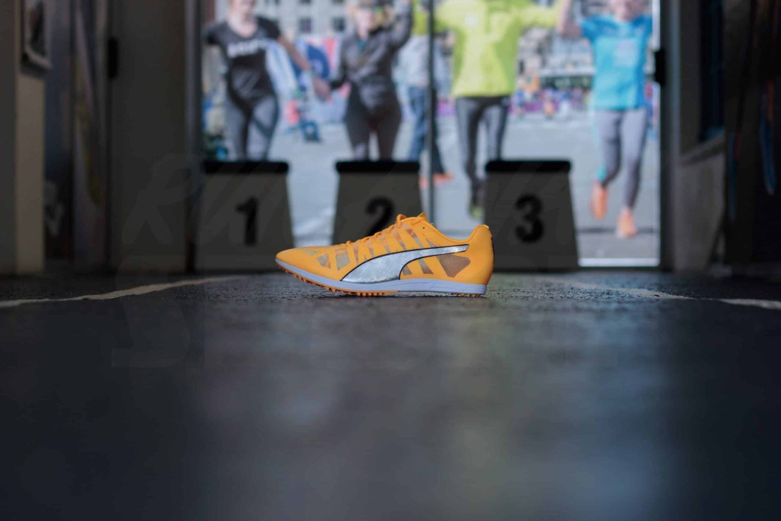 Puma evoSPEED Distance 10