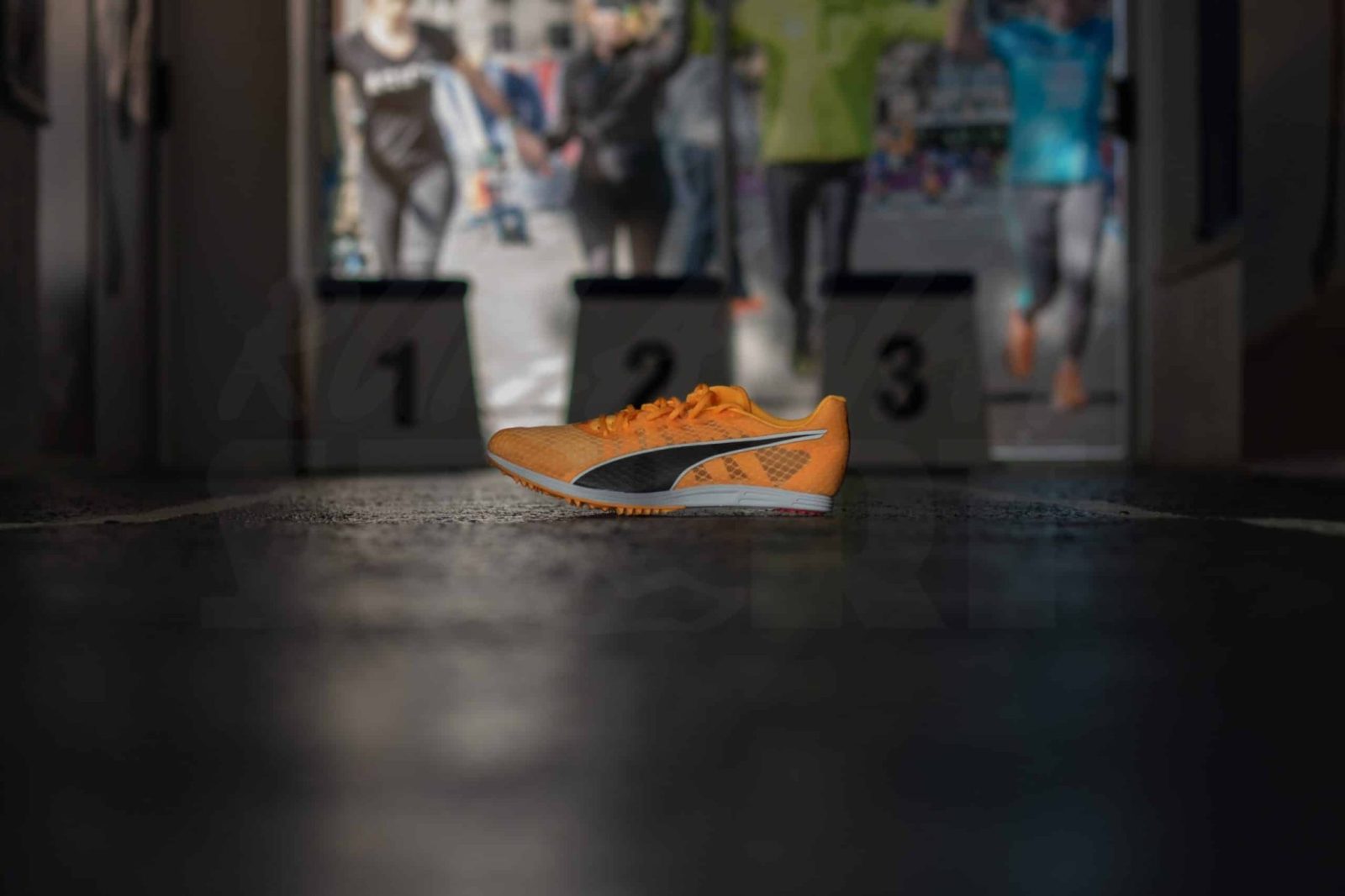 Puma evoSPEED Distance 11 Sun Stream