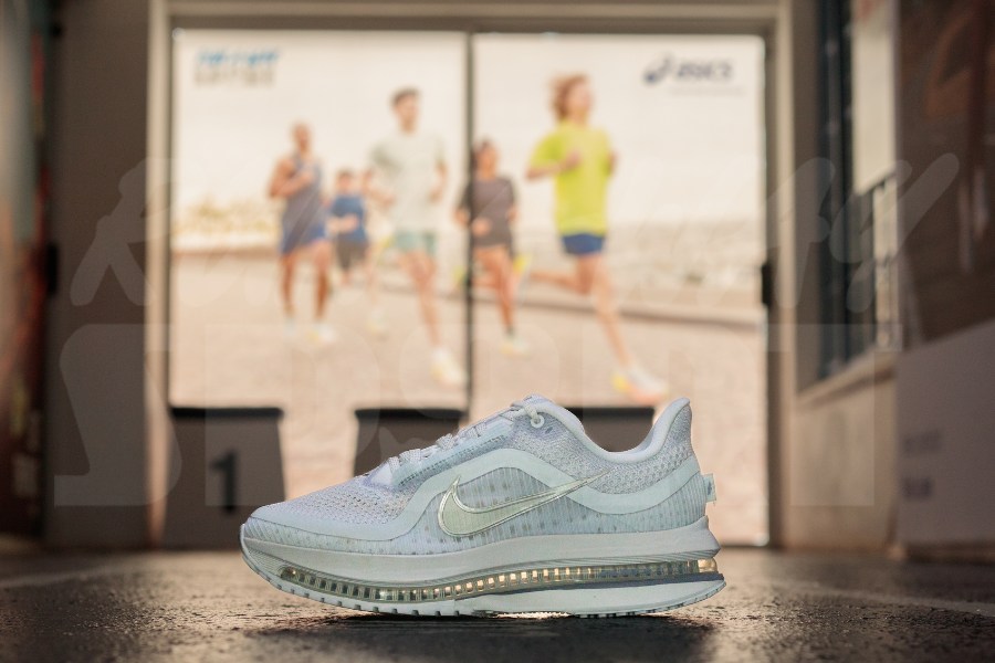 Nike Pegasus Premium Women (Grey/Platinum)