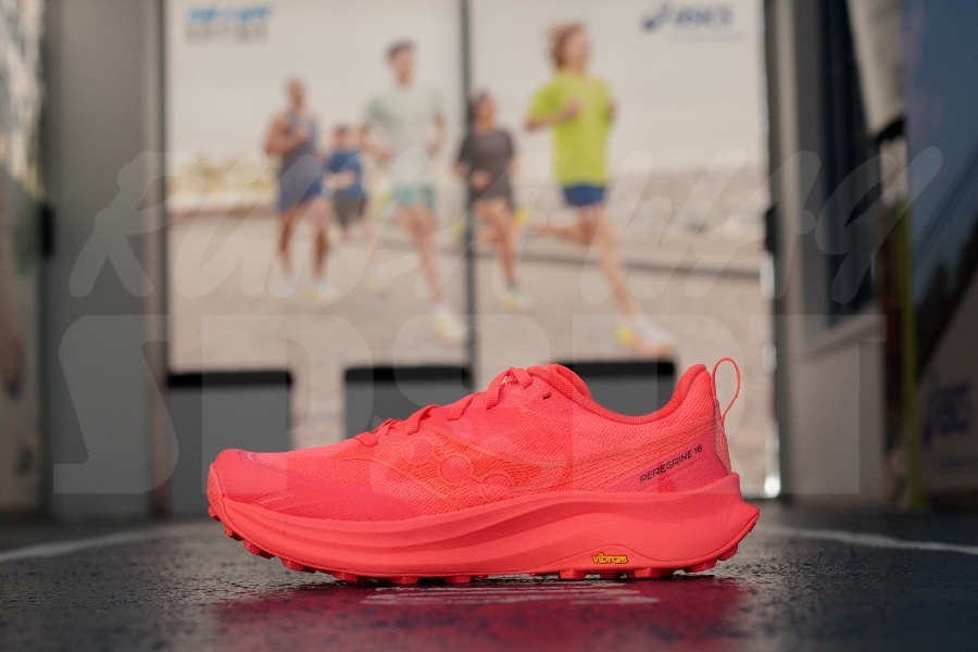 Saucony Peregrine 16 Women's