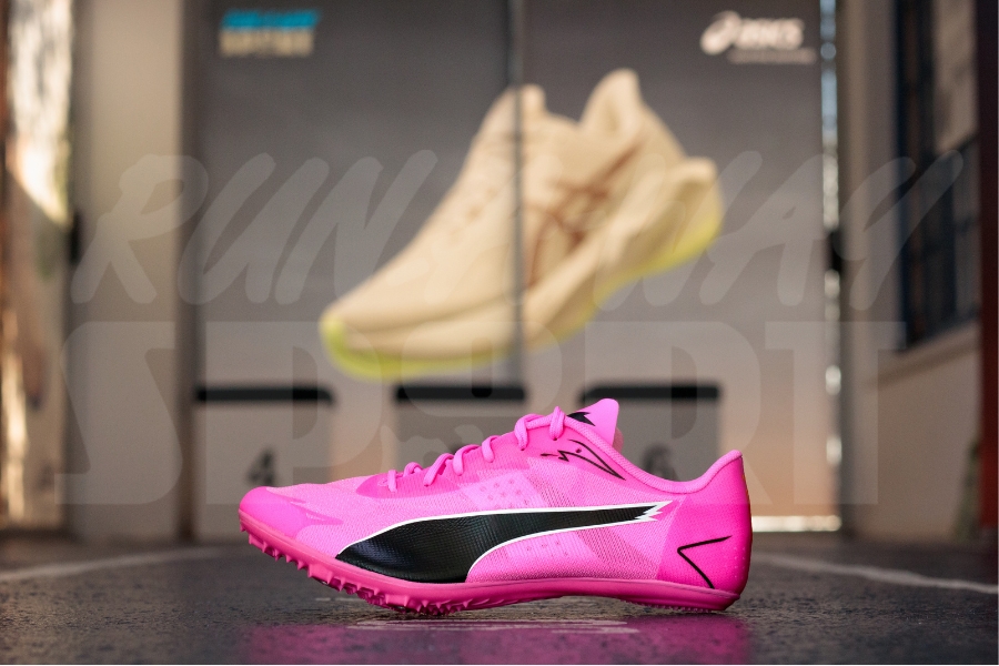 Pum evoSPEED Brush 7 Pink